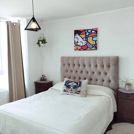 Apartamento Departamento Entero Nunoa